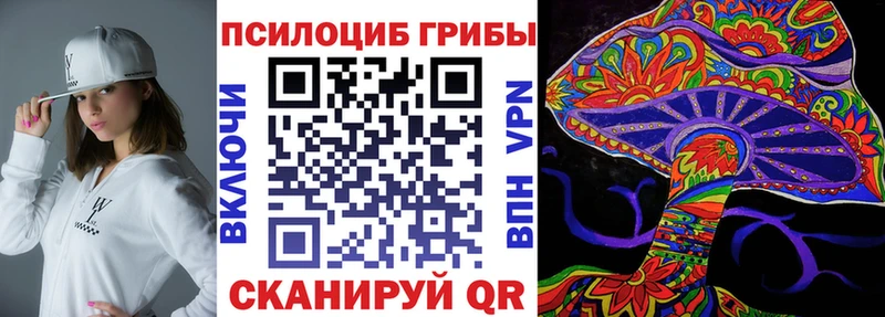 Галлюциногенные грибы MAGIC MUSHROOMS  Купить где  Елизово 
