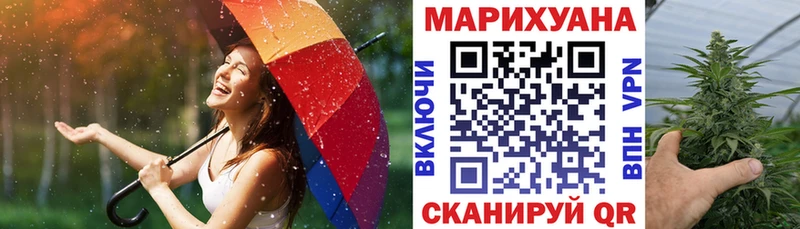 Каннабис планчик  Купить где  Елизово 